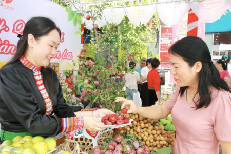 Mời tham gia Hội chợ xúc tiến thương mại nông sản và sản phẩm OCOP khu vực Tây Bắc – Sơn La 2025