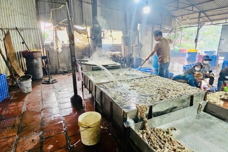 Bắc Ninh: Tịch thu, buộc tiêu hủy 600 kg nội tạng động vật không rõ nguồn gốc