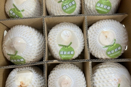 Xuất khẩu gần 22 tấn dừa tươi qua cửa khẩu Bắc Luân II