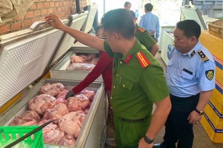 Gia Lai triển khai các biện pháp phòng, chống bệnh Dịch tả lợn Châu Phi