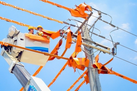 EVNHCMC đảm bảo cấp điện an toàn, ổn định phục vụ kỷ niệm 80 năm Cách mạng tháng Tám và Quốc khánh 2/9