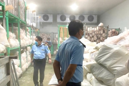 Gia Lai: Phát hiện hàng nghìn con heo đông lạnh chưa rõ nguồn gốc, xuất xứ trong cơ sở giết mổ