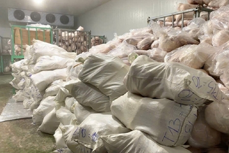 Gia Lai: Phát hiện hơn 100 tấn heo sữa, heo sữa quay đã bốc mùi