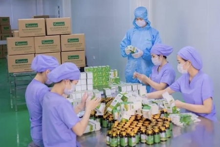 Gia Lai sẽ khởi công 2 dự án với tổng mức đầu tư hơn 5.000 tỷ đồng trong tháng Tám