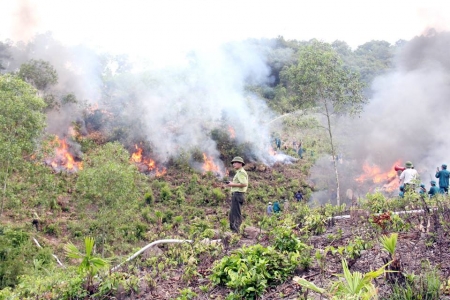 Thanh Hóa: Dự báo và thông tin cấp dự báo cháy rừng từ ngày 10/8 đến 13/8