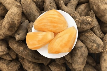 Loại củ bình dân, dễ mua ở chợ Việt hóa ra lại sở hữu công dụng tuyệt vời