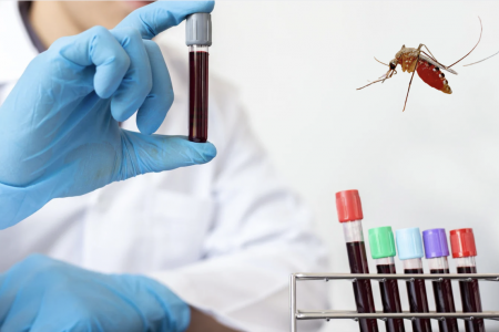 TP. Hồ Chí Minh: Bệnh Chikungunya cần được giám sát và dự phòng tích cực