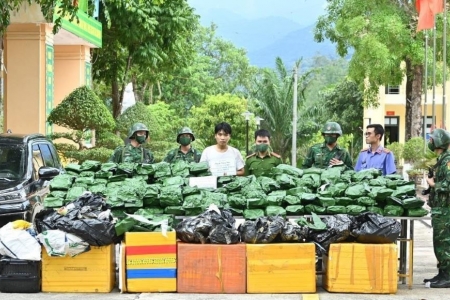 Hà Tĩnh: Bắt 1 đối tượng thu giữ 240kg cần sa khô