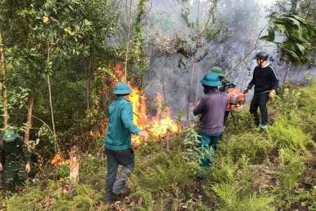 Nghệ An: Hàng trăm người khẩn trương dập cháy rừng do sét đánh