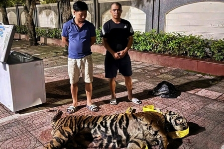 Chống buôn lậu ở Hà Tĩnh: Phá nhiều vụ vận chuyển hàng cấm, động vật quý hiếm và quần áo cũ