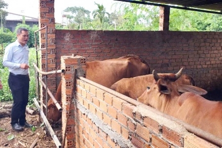 Đắk Lắk: Hơn 3.000 tỷ đồng vốn vay tín dụng chính sách cho hộ nghèo, hộ cận nghèo