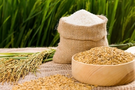 Gạo Việt có thể giữ được vị trí xuất khẩu thứ hai thế giới trong bao lâu?