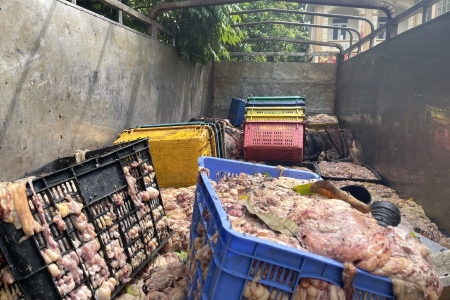 Hà Nội thu giữ hơn 2 tấn mỡ và da bò không rõ nguồn gốc, bốc mùi hôi thối