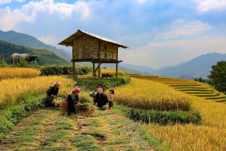 Lào Cai: Tiếp tục phát huy hiệu quả Chương trình mục tiêu quốc gia phát triển KT-XH vùng đồng bào dân tộc thiểu số và miền núi