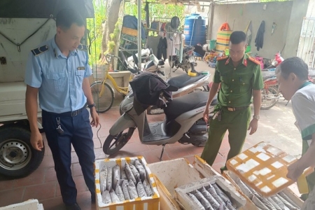 Gần 1,2 tấn côn trùng, động vật bốc mùi bị phát hiện tại Thanh Hóa