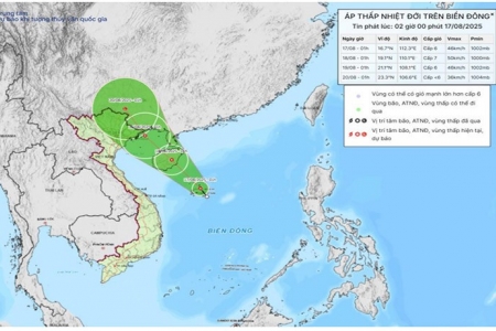 Áp thấp nhiệt đới trên biển Đông giật cấp 8, biển động mạnh