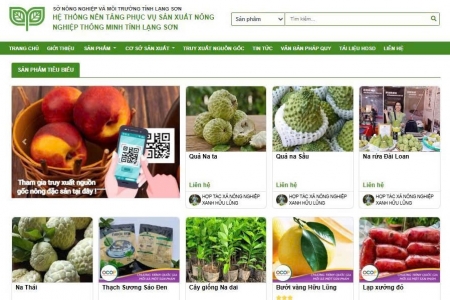 Lạng Sơn: Kết nối chợ truyền thống với thương mại điện tử