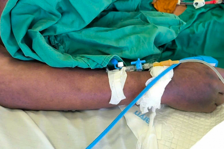 Bệnh liên cầu lợn xuất hiện tại Hà Nội, nhiều dịch bệnh khác có xu hướng gia tăng