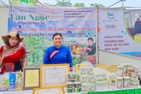 Trà hoa hồi Lan Ngọc – món quà tinh túy của thiên nhiên, trao gửi sức khỏe và yêu thương từ núi rừng Xứ Lạng.