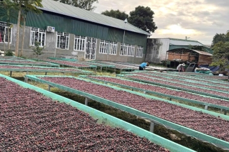 Đắk Lắk: Mục tiêu cuối năm 2030 có trên 29.000 doanh nghiệp