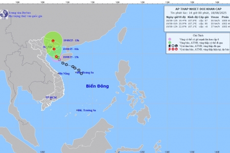 Áp thấp nhiệt đới tiến sát đất liền, nhiều nơi mưa lớn đến 300mm vào đêm nay