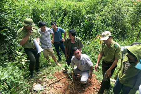Nghệ An phê duyệt danh sách cộng đồng dân cư được thụ hưởng nguồn thu giảm phát thải khí nhà kính