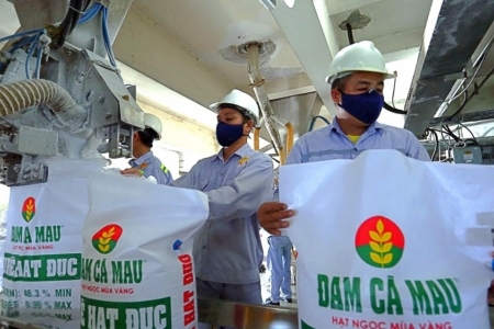 Điểm sáng ngành phân bón quý II/2025: DPM và DCM bứt phá