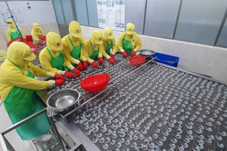 Cà Mau tăng cường phối hợp, chỉ đạo công tác quản lý thu nội địa