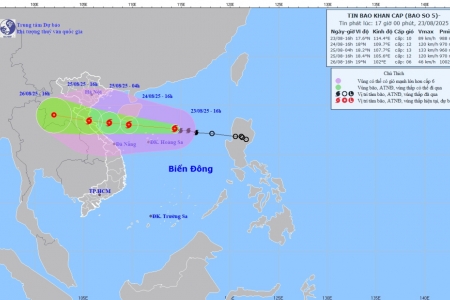 Quảng Ninh: Chủ động phòng, chống, ứng phó với cơn bão số 5 (Kajiki)