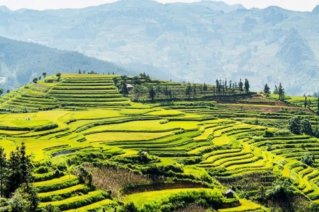 Festival "Nghiêng say mùa thu" năm 2025