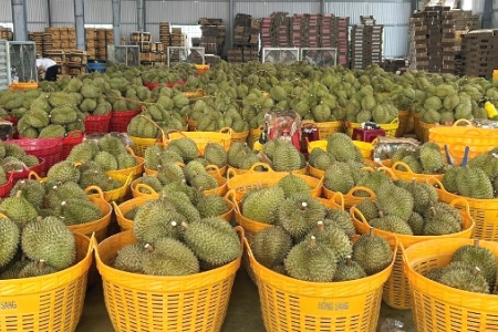 Đắk Lắk: Nữ Bí thư xã tham gia livestream, giúp nông dân bán hàng chục tấn thương hiệu sầu riêng