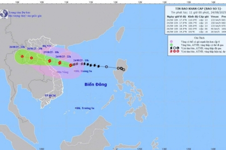Ven biển Bắc Trung Bộ báo động rủi ro cấp 4 do bão số 5