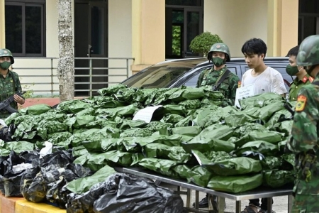 Đánh sập đường dây ma túy: Bắt giữ 240kg cần sa, triệt xóa đường dây xuyên quốc gia