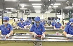 Lâm Đồng chuẩn bị tổ chức Hội nghị đối thoại doanh nghiệp