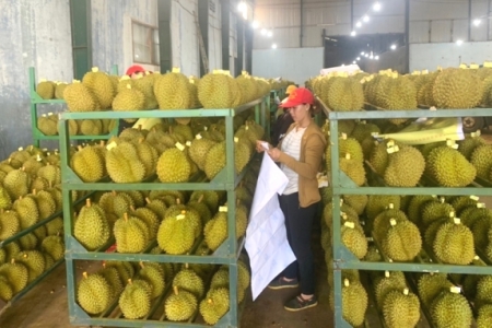 Đắk Lắk quyết tâm hoàn thành mục tiêu tăng trưởng trên 8%