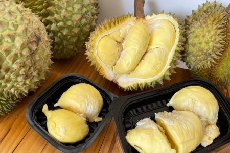 Giá sầu riêng hôm nay 26/8: Sầu Thái ở Đắk Lắk có giá cao nhất