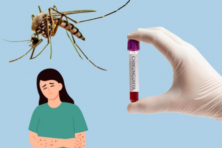 Quảng Ninh: Đảm bảo an toàn phòng chống dịch tại các cửa khẩu