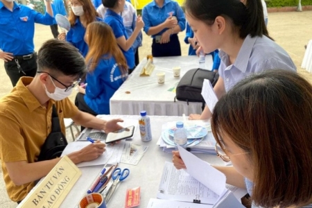 Kế hoạch triển khai thi hành Luật Việc làm