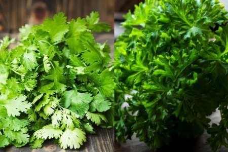 Hơn cả rau gia vị, mùi tây là "thần dược" cho sức khỏe