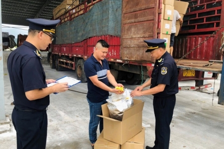 Hải quan phát hiện gần 12.000 vụ buôn lậu, hàng giả trị giá hơn 16.000 tỷ đồng trong 8 tháng đầu năm