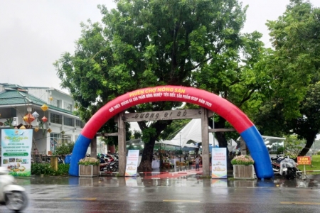 Huế: Phiên chợ nông sản lên “Phố”