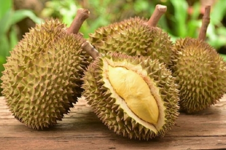 Giá sầu riêng hôm nay 29/8: Ri6 loại A có giá 40.000 – 45.000 đồng/kg