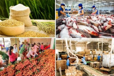 Thủ tướng yêu cầu tăng cường truy xuất nguồn gốc nông sản, giữ vững uy tín hàng Việt