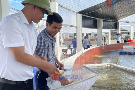 Quảng Ninh chuyển đổi số trong công tác khuyến nông