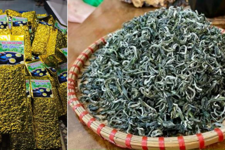 Chè Lai Châu được bảo hộ chỉ dẫn địa lý