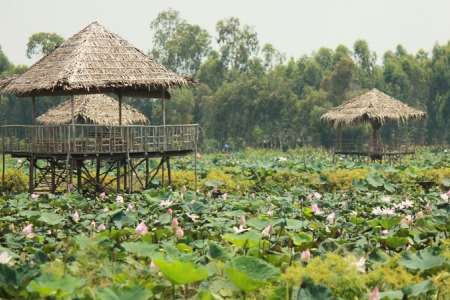 Đồng Tháp đón trên 108.000 lượt khách du lịch dịp lễ 2/9