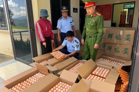 Phát hiện 10.000 quả trứng gà nhập lậu ở Tuyên Quang