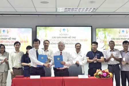 Đề án 1 triệu ha lúa: Lợi ích kép cho nông dân, môi trường và an ninh lương thực