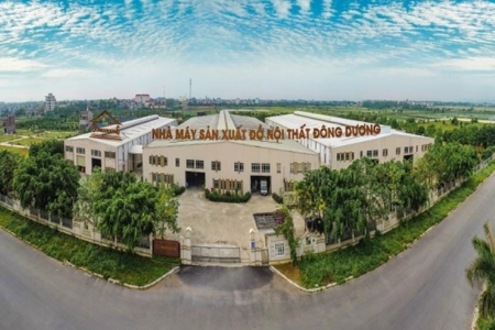 Ủy ban chứng khoán nhà nước xử phạt Xây dựng Đông Dương vì công bố thông tin chậm và “vẽ” lợi nhuận ảo