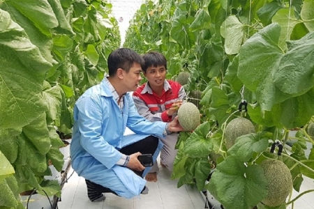 Công nghiệp thực phẩm Việt Nam bứt phá: Từ sân nhà đến chuỗi cung ứng toàn cầu